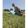 2 Day "Father/son" Rifle Camp